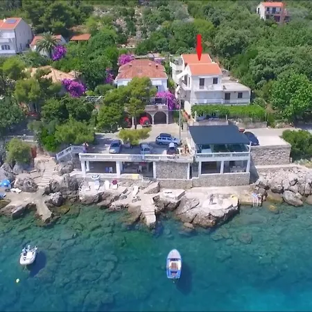 شقة Miovic مولونات