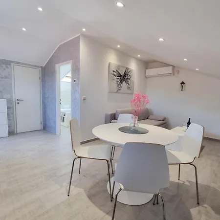 Miovic مولونات