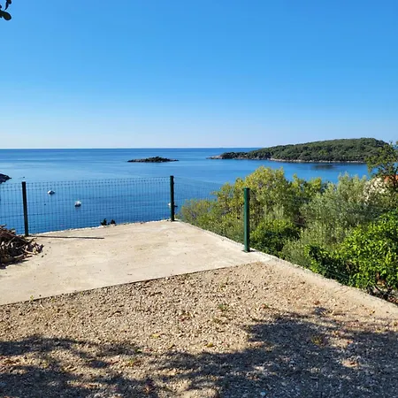 Miovic * مولونات