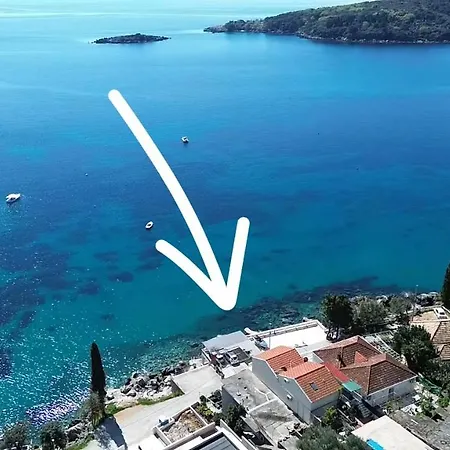 Miovic *