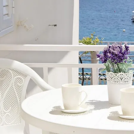 Apartment Miovic *