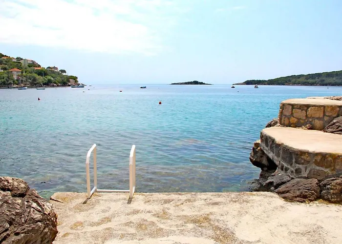 Miovic *