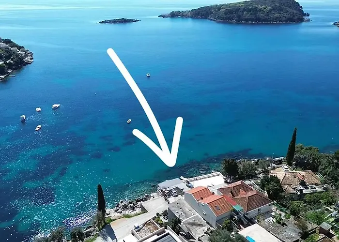 Miovic *